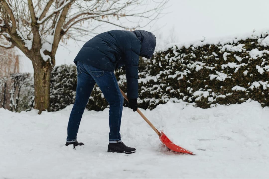How to Navigate Seasonal Challenges in Landscape Management