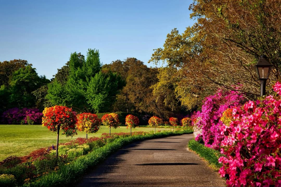 How Do You Use Xeriscaping in Your Landscaping Projects?
