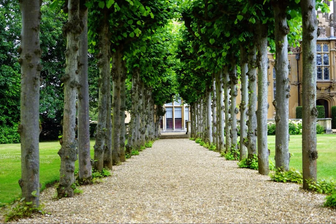 How Can Estate Planning Benefit a Client's Heirs?