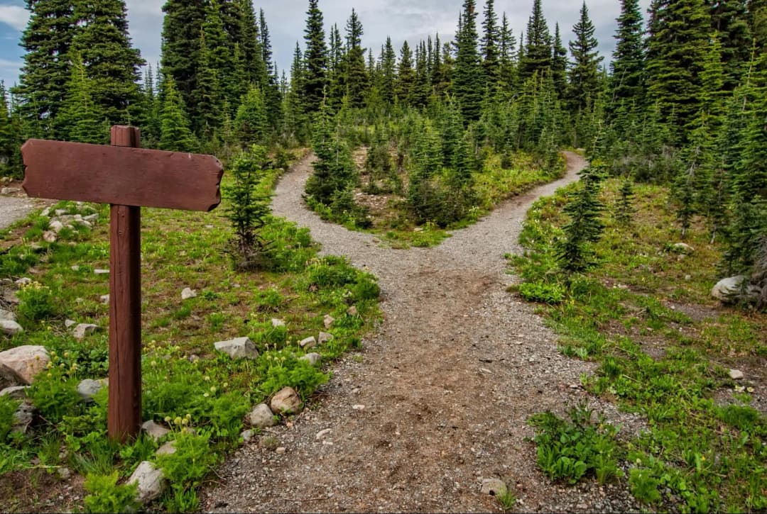 When Should You Adapt Your Therapeutic Approach?