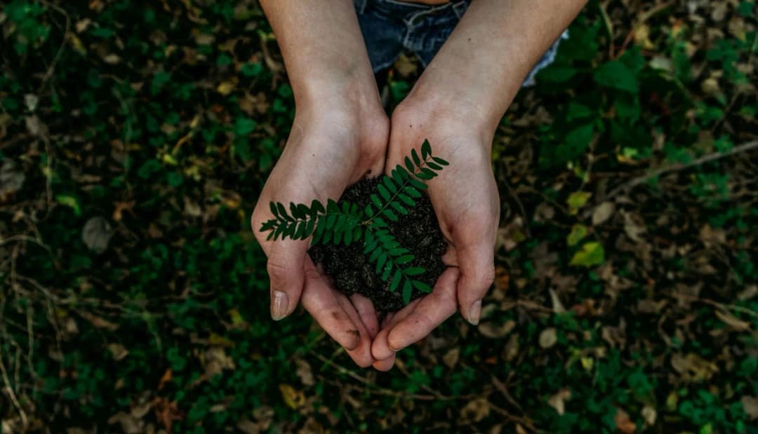 What Impact Do Sustainability Practices Have On a Small Business?