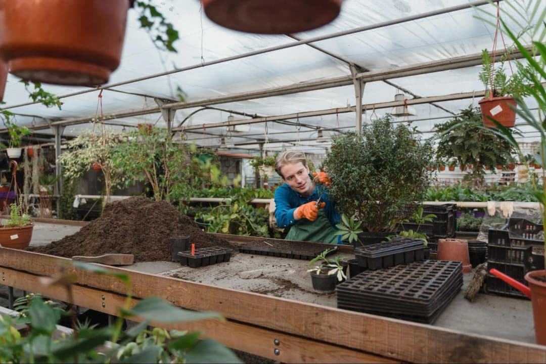 How Do You Tailor Composting Recommendations for Different Scales of Operations?