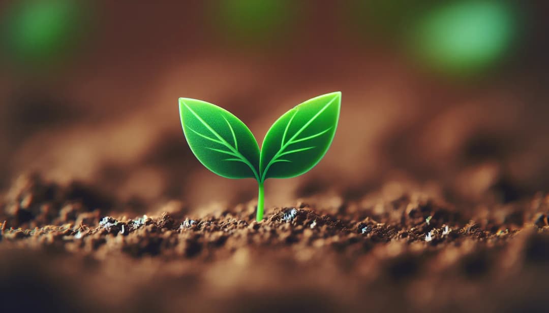 How Do You Approach the Valuation of a Pre-Revenue Startup?