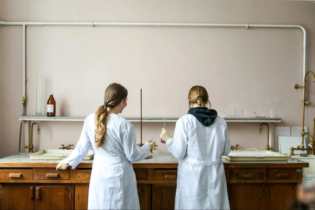 What Collaborations Can Arise from Attending a Science Conference?