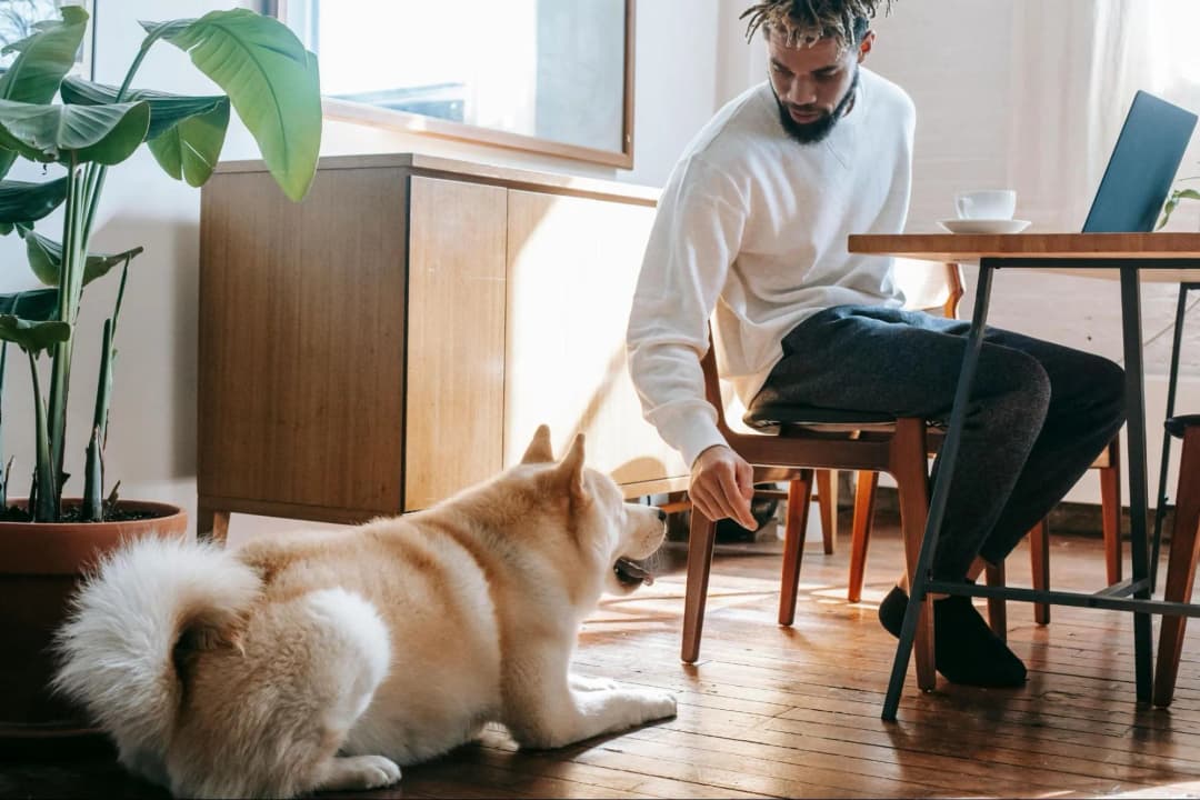 Remote Vs. in-Office Culture: Balancing Act in Hiring