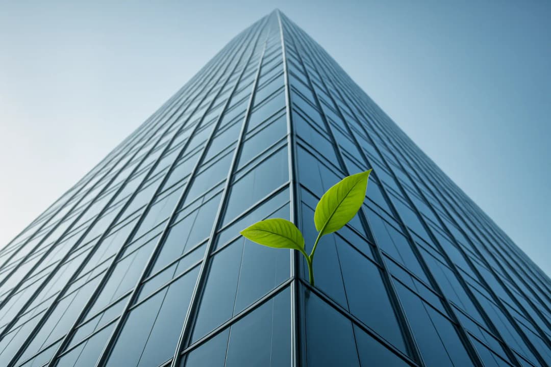 Key Takeaways From Scaling A Startup: Lessons From Founders » CEO Official Mag