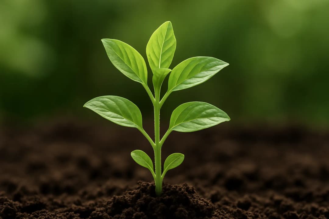 9 Content Marketing Tactics that Consistently Deliver Strong Results