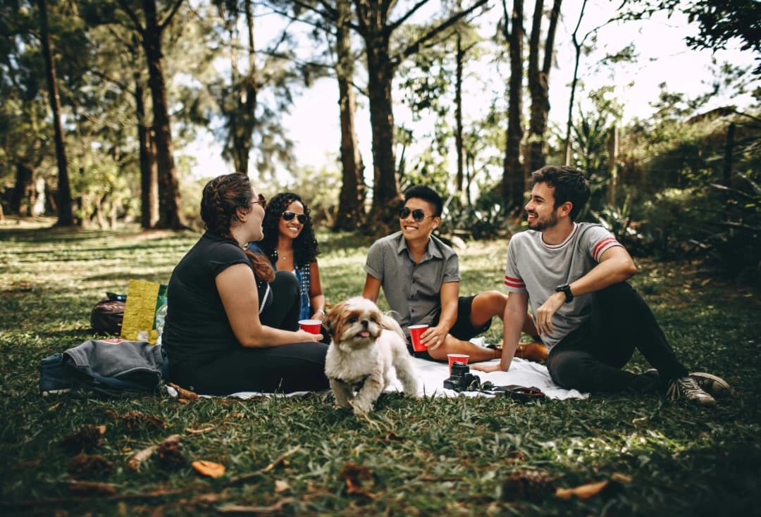 How Companies Promote Work-Life Balance and Its Effectiveness