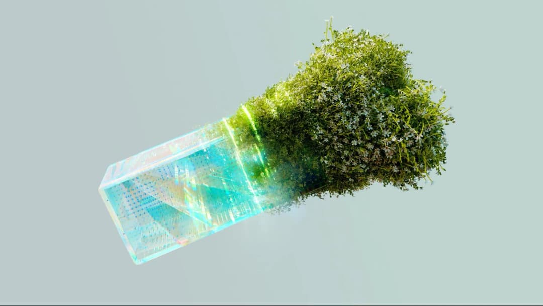 Reducing Your Carbon Footprint: Personal vs. Professional Approaches - Grit Daily News