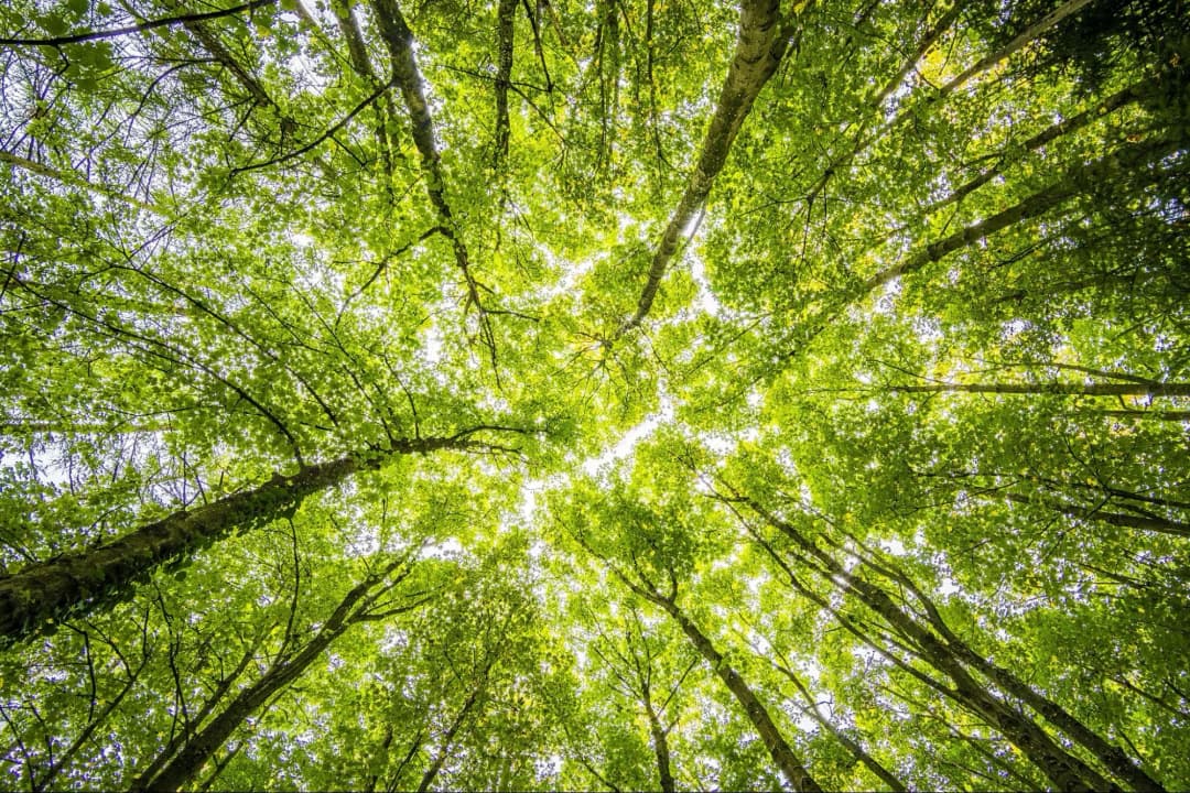 What Are Effective Ways to Engage the Public in Environmental Education?