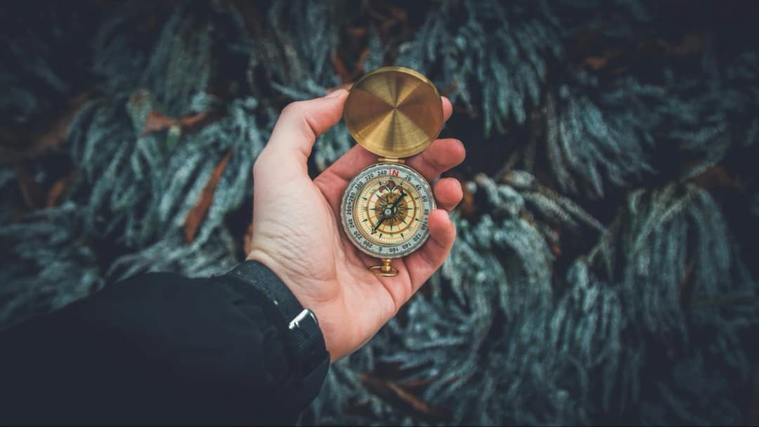 Key Signs to Pivot: Lessons from Entrepreneurs Who Changed Course