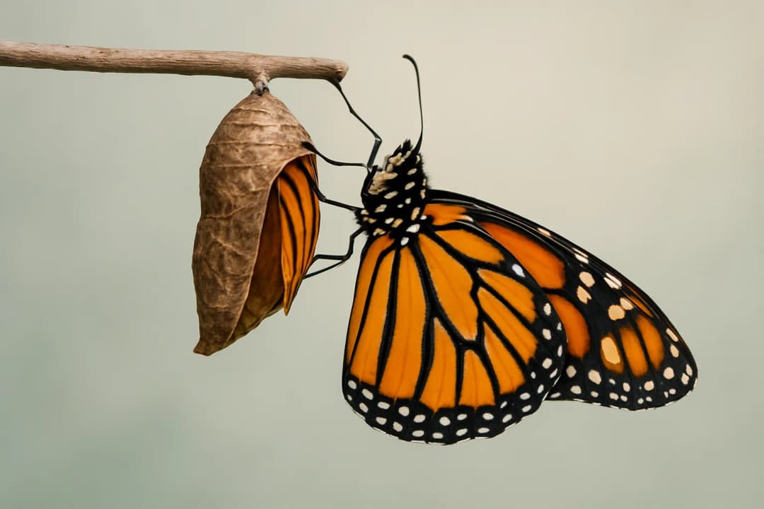 13 Signs that You Need to Reimagine a Process, Not Just Improve It