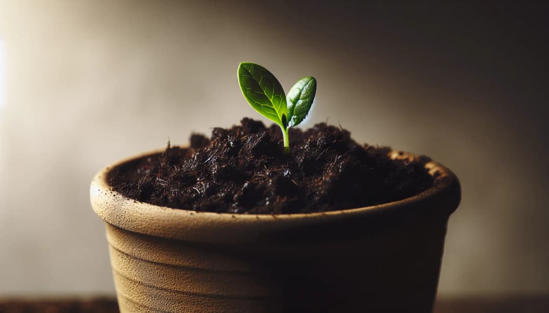 How Do You Encourage Clients to Maintain Long-Term Dietary Changes as a Nutritionist?