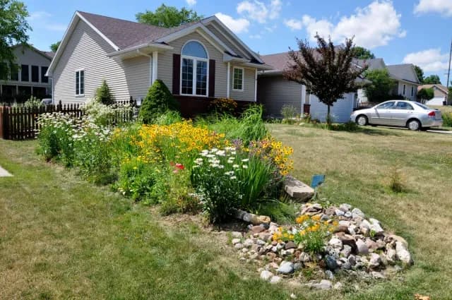 Transform Your Landscape with Beautiful and Functional Rain Gardens