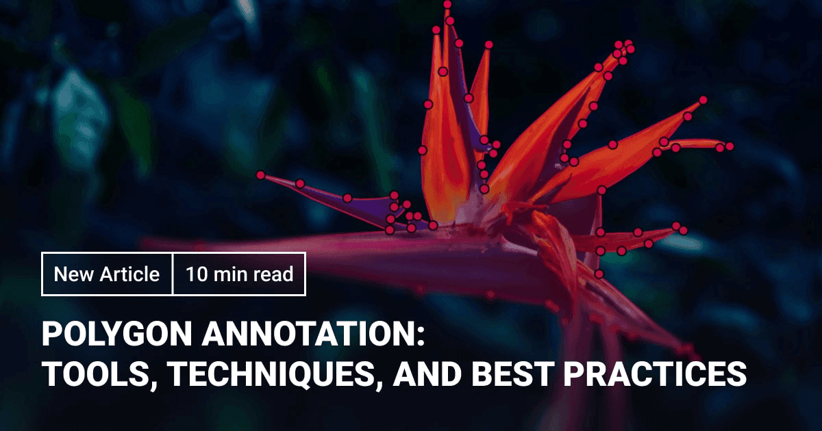 Polygon Annotation: Tools, Techniques, and Best Practices