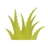 CEI, Center for Entrepreneurial Innovation profile
